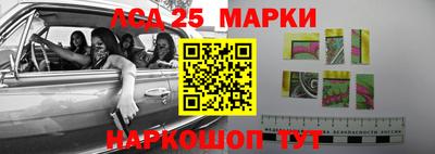 прущие грибы Донской