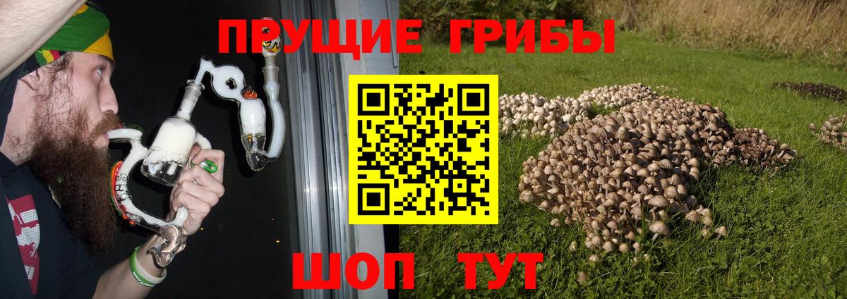 Галлюциногенные грибы ЛСД Курчатов